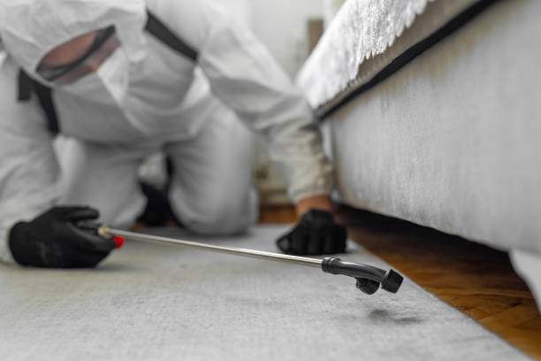 Professional Bed Bug Control technician working in Dublin, TX