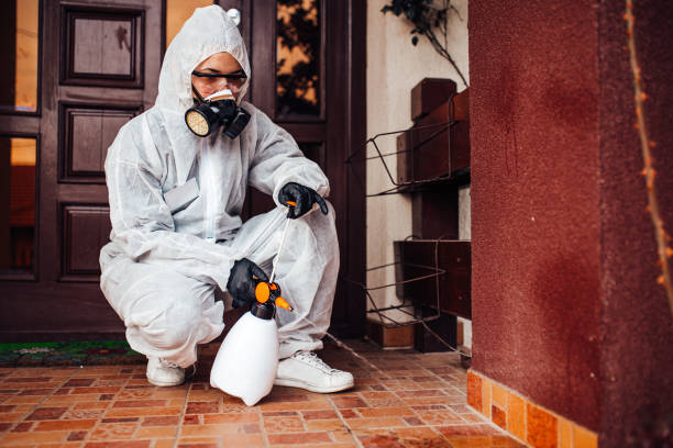 Reliable Bed Bug Control contractor in Dublin, TX by Nex Pest Control