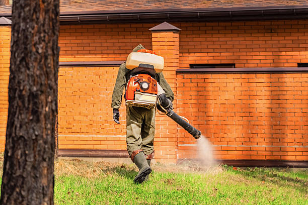 Trusted Fumigation Services service in Dublin, TX - Nex Pest Control